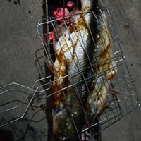 patin-bakar