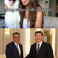 two-who-goodwill-ambassadors-are-chinas-first-lady-and-a-chinese-propagandist