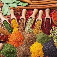 aneka-rempah-rempah-sebelum-masak-kenali-dulu-bumbu-bumbunya