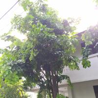 post-image