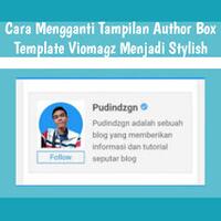 cara-mengganti-tampilan-author-box-di-viomagz