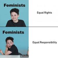 we-should-all-be-feminist