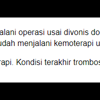 bocah-meninggal-usai-digigit-kutu-kucing-ketahui-gejala-dan-bahayanya