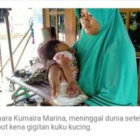 kutu-kucing-bisa-membuat-seorang-anak-manusia-meninggal-berikut-faktanya