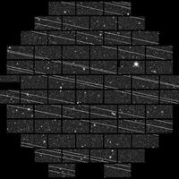 pakar-siber-ingatkan-pebisnis-provider-terkait-rencana-elon-musk