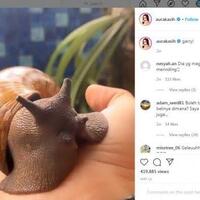 bekicot-aura-kasih-segede-telapak-tangan-netizen-heboh