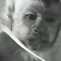 kenal-di-medsos-dan-diajak-nikah-ternyataa