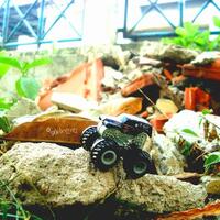 coc-seru-seruan-bareng-hot-wheels-dirumah-aja