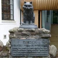 towser-cat-pemegang-rekor-dunia-si-penangkap-tikus-terbanyak