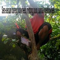 coc-seru-seruan-bareng-hot-wheels-dirumah-aja