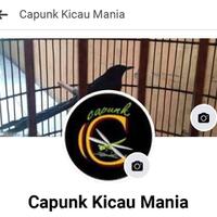coc-bisnis-badai-covid-menerjang-bertahan-hidup-dengan-menjual-burung-kicau