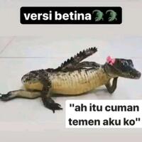 ketika-hewan-buas-buaya-jadi-menggemaskan-meme-buaya-versi-betina