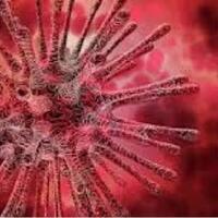 india-sembah-virus-corona