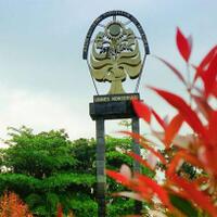 dinonaktifkan-karena-singgung-jokowi-dosen-unnes-gugat-rektor