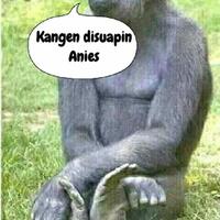 waduh-cuma-kunjungi-bonbin-ragunan-somad-nilai-anies-penuhi-syarat-jadi-pemimpin