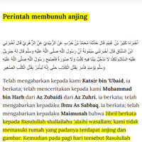 anjing-disiksa-sampai-mati-guntur-romli-wisata-halal-kok-pake-cara-yang-haram