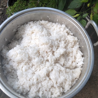 cara-agar-nasi-kemarin-menul-menul-pulen-kayak-nasi-baru-masak