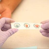 studi-beberkan-pengaruh-corona-di-golongan-darah-a-dan-o