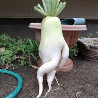 berkoar-soal-socialism-distancing-drtirta-kedapatan-nongkrong-di-holywings