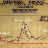 baca-info-seputar-virus-corona-di-indonesia