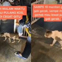 akting-jadi-patung-saat-diusir-tingkah-kucing-ini-bikin-netizen-heran