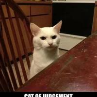 hot-news--ruben-onsu-kepikiran-hingga-tak-bisa-tidur-gara2-masalah-ayam-geprek