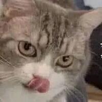 pemerintah-indonesia-akan-beri-hadiah-menarik-ini-bagi-penemu-vaksin-corona