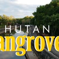 hutan-mangrove--bali---wisata-alam-yang-penuh-nilai-edukasi-pengetahuan