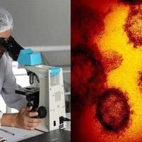 apa-sebenarnya-di-balik-covid-19