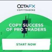 ikuti-copy-trading-dengan-broker-forex-stp-terbaik