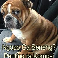 jokowi-bakal-dicap-gagal-jika-tiga-pekan-ke-depan-corona-belum-usai