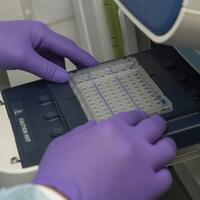 awas-kartel-rapid-test-jegal-pcr--made-in-indonesia