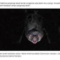 misteri-pembunuhan-beberapa-hewan-di-tapanuli-utara-kepoin-yuks