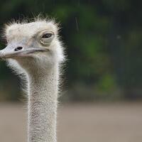 lupa-yang-sepele-tapi-lumayan-bikin-gedeg