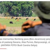 syarat-baru-mendaki-gunung-di-tengah-pandemi-corona