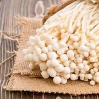 mengenal-listeria-bakteri-pembunuh-yang-terdapat-di-jamur-enoki