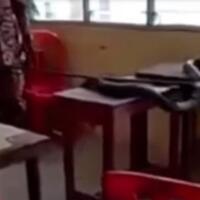 lama-tak-dipakai-selama-corona-laci-meja-sekolah-ini-jadi-sarang-ular