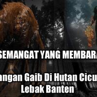 petualangan-gaib-di-hutan-cicurahem-lebak-banten-part-2