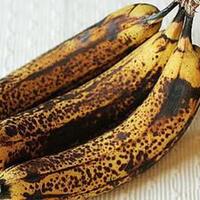 manfaat-buah-pisang-salah-satunya-bisa-mencegah-kanker-loh