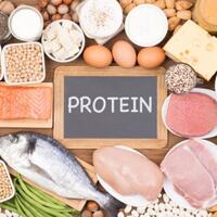 konsumsi-protein-berlebihan-bisa-picu-banyak-penyakit