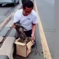 video-pria-baik-selamatkan-kucing-tertabrak-kendaraan-di-jalanan-bikin-netizen-haru