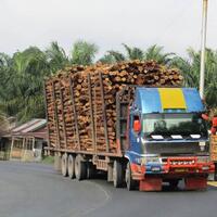 fuso-tribal--si-raksasa--dari-pulau-sumatera