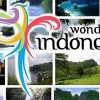 reaction-wonderful-indonesia-2020