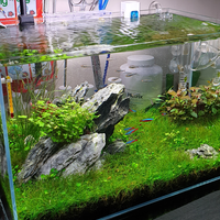 aquascape-for-everyone-learning-and-sharing---part-4