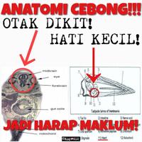 heboh-kalung-eucalyptus-kementan-akan-jual-dengan-harga-rp-15-ribu