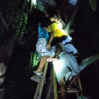 hilang-secara-misterius-pemuda-ini-ditemukan-di-atas-pohon-aren-benarkah-ulah-jin