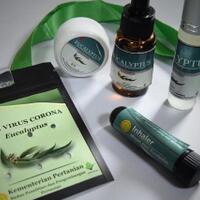 kementan--idi-kerja-sama-lakukan-uji-klinis-kandungan-bahan-aktif-eucalyptus