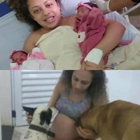 viral-bayi-kembar-meninggal-tragis-diterkam-anjing-peliharaan-sendiri