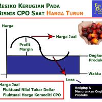 resiko-kerugian-pada-bisnis-cpo-saat-harga-turun