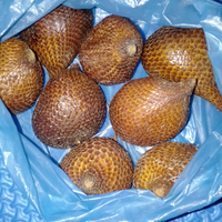 salak-pliek--rujak-anti-mainstream-dari-aceh-sudah-pernah-coba